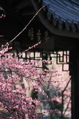 512B4535-A0D2-4A35-9D98-B00DEB7E6C44/L0/001