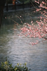CC9E3AF6-8F82-45EF-AEC5-56C780FE75E5/L0/001