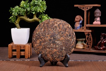 EGG_5563