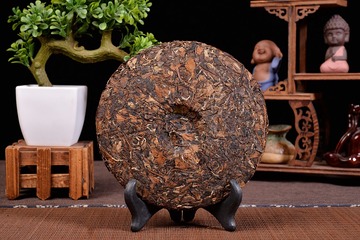 EGG_5564