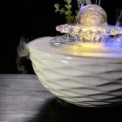 EGG_8781
