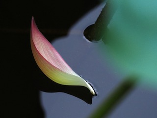 57773