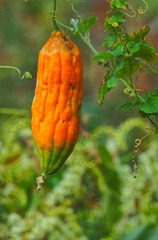 201510