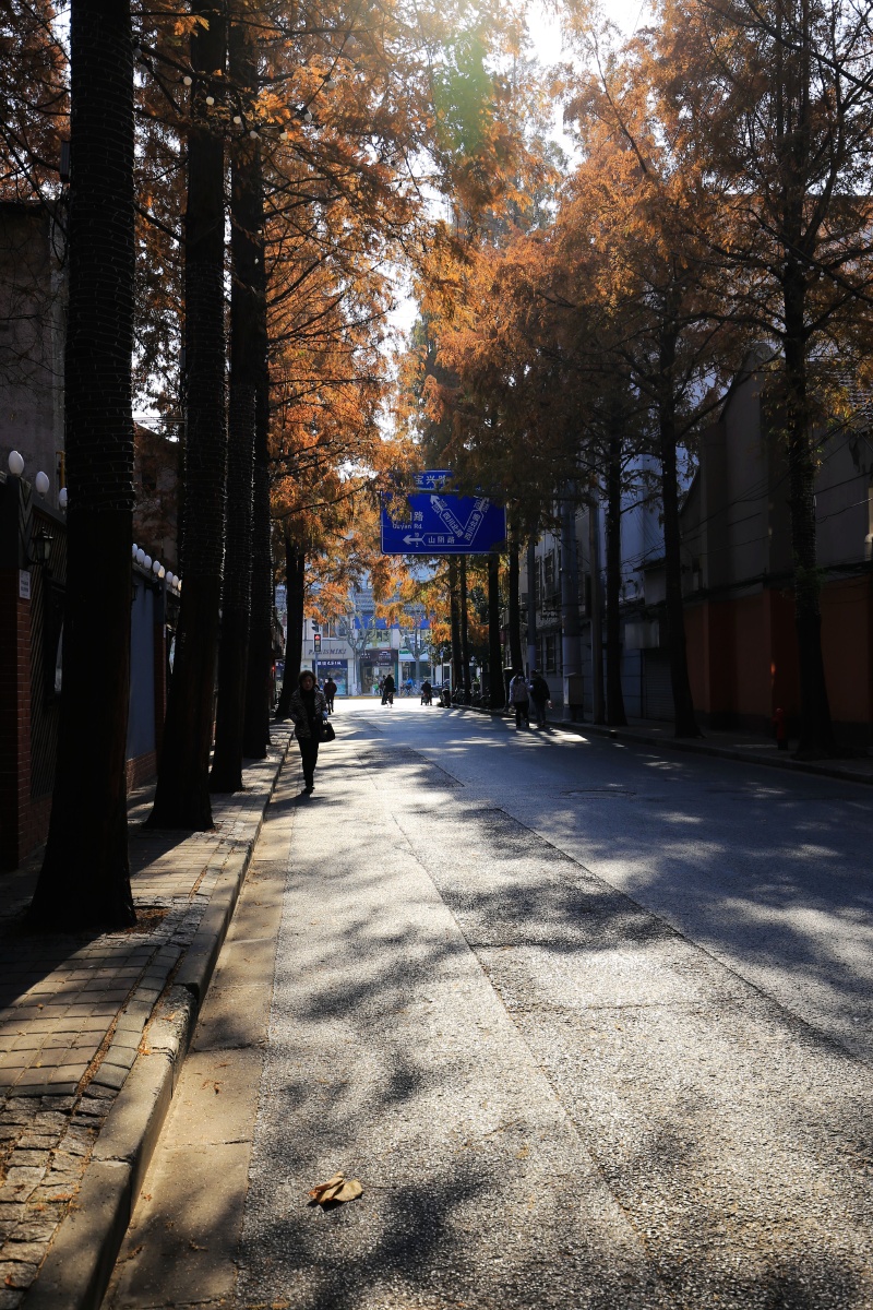 上海最浪漫的马路甜爱路