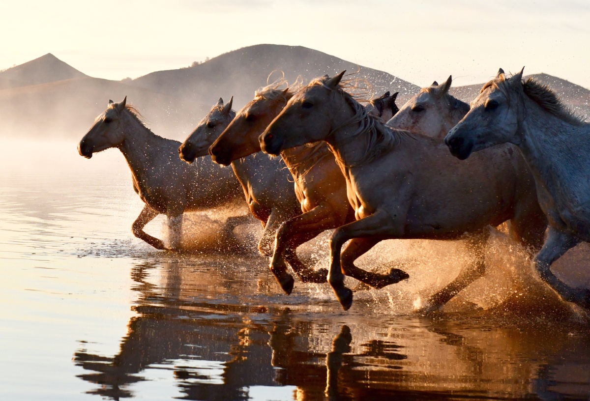 摄影师 影像频道 教程 器材 正版图片下载 交流 讨论 更多 创意图库