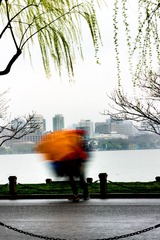 雨
