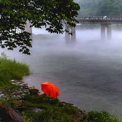 雨中情