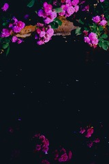 C0C05DF9-A681-496A-BDAB-A72A1FC9F757/L0/001