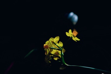 E26E5ECA-7279-4F68-AEDF-CA65C70E854B/L0/001
