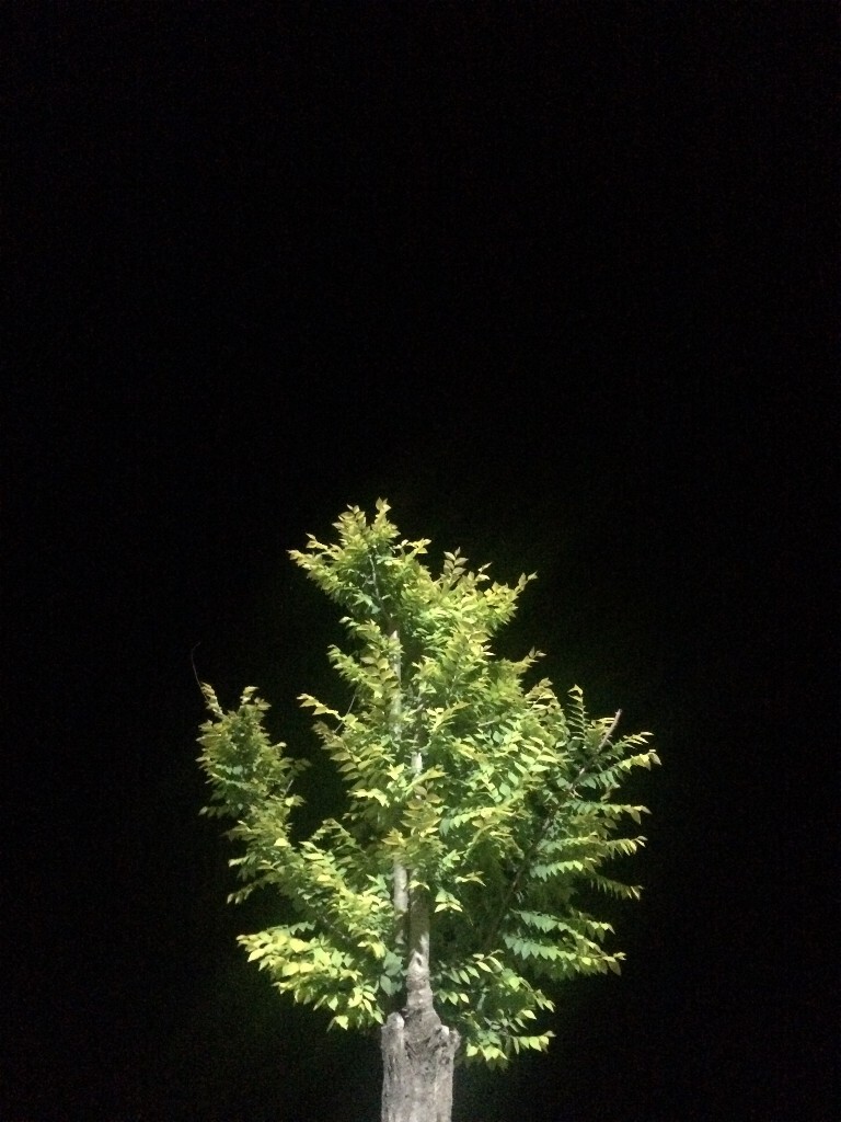 有些事会像一把利剑，驱逐黑暗