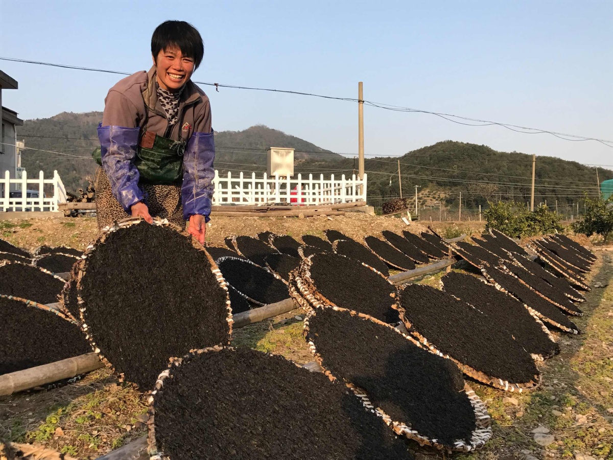 湖北白芨种植利润,白喜欢温暖潮湿的环境