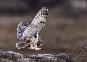 75AEEDF5-F550-41D3-8FED-46534AC985D0/L0/001