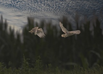 04840010-AD9B-44ED-9FFB-3270C5B0E9AA/L0/001