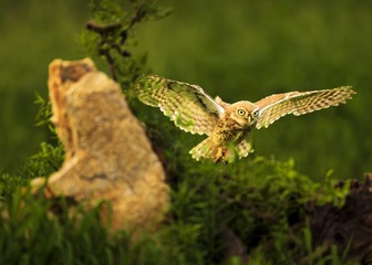 EFFDFDFD-2D82-49CA-BC49-17B89E607F9A/L0/001