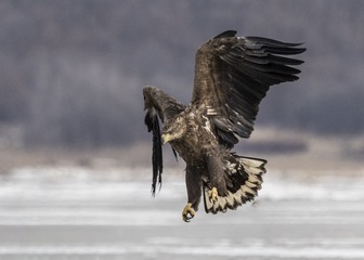 DF86798C-0D35-4C8A-97FA-3CCB97337DFB/L0/001