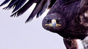 483CE8BB-4CC5-4182-824C-F6050D5F1380/L0/001
