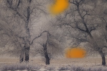 7D4D63CE-2844-427C-92D4-C208515BA996/L0/001