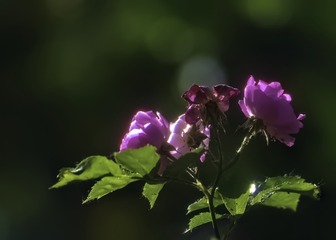 AB22F14A-3495-4BA5-82F3-E738FA7E1824/L0/001