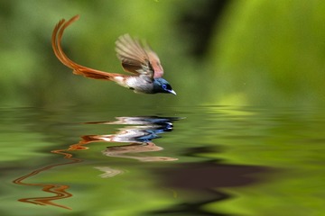 A9EB66FB-0E71-40F2-B079-92E8DA6256B8/L0/001