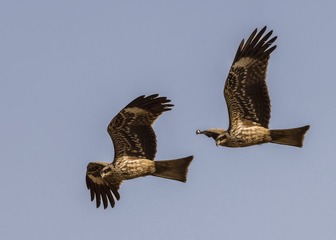 460E4C08-080B-4B07-8D73-03BF6D493D88/L0/001
