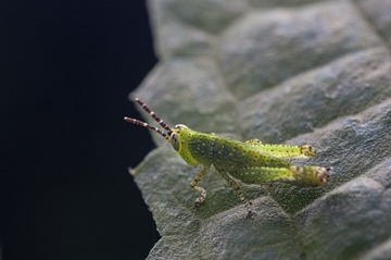 17380
