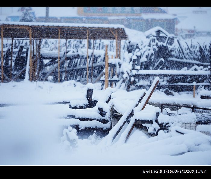 第四站：阿尔山——这次最惊喜的是遇见2016年阿尔山第一次雪...鹅毛大雪啊！！