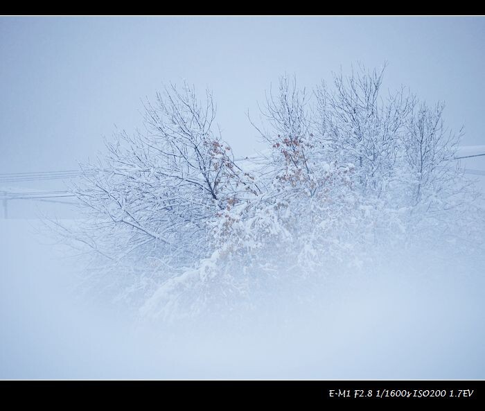 阿尔山鹅毛大雪