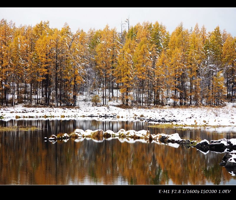 阿尔山林海雪景