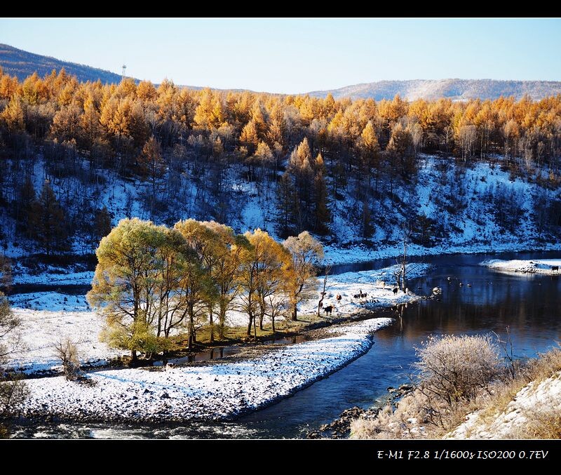 阿尔山林海雪景