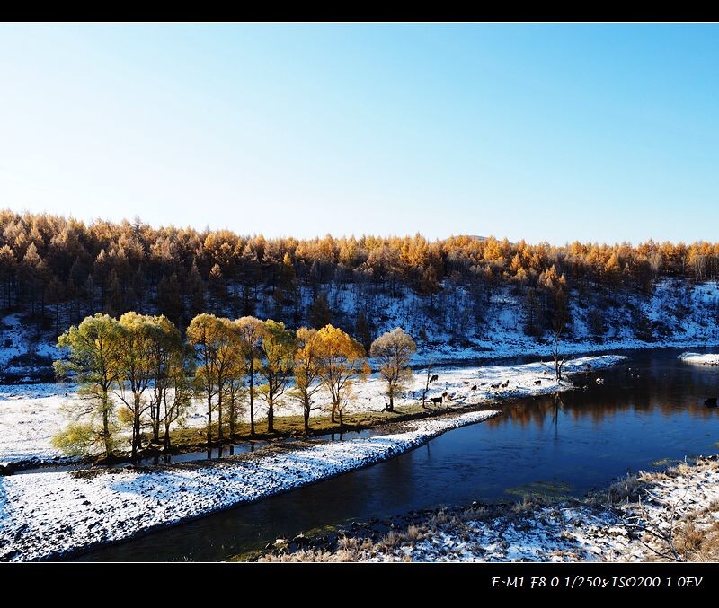 阿尔山林海雪景