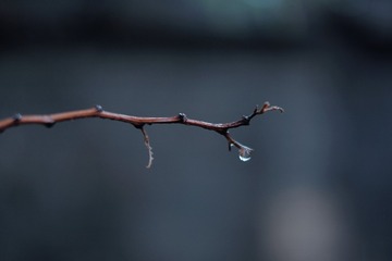 0FD4C96D-06F4-4C0D-A713-01B4BC6254CB/L0/001