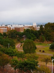 1905169