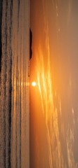 4C883AA7-0B7C-4F42-B694-AB91726F63AB/L0/001