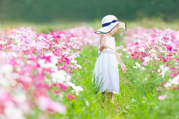 20160921花海（小雪）_287