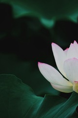 B894C08E-B3D2-4925-A431-BB0B780CE768/L0/001