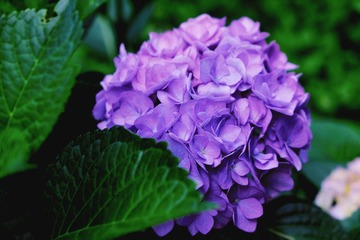 4E81821A-DA88-4F7F-8D76-FE1C33FC8FCF/L0/001