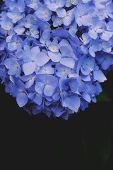7B5774FE-4D12-40A7-966A-7D3137606B21/L0/001
