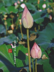 A567AA76-DB6A-40C5-B906-0DB2EAF466BA/L0/001