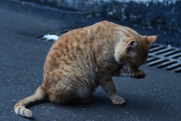 617136