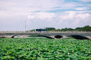 0622EA69-DC9A-45A4-B682-4EF6E1B36135/L0/001
