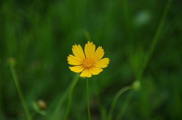 101035