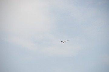 94508
