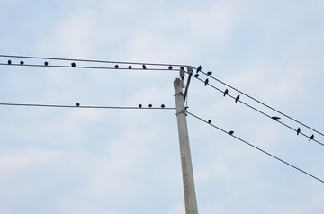 64576