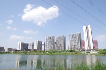 209021