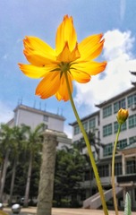 IMG_20161115_174127-01