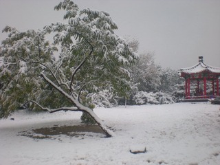 第一场雪