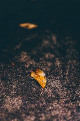 6C27487C-3C69-4833-B934-AE1ABF6D597B/L0/001