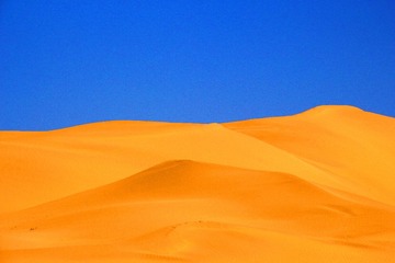 IMG_1693_