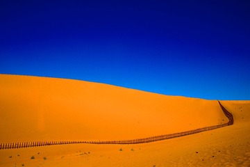IMG_1705_
