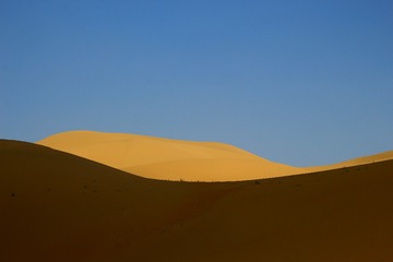 IMG_1726_